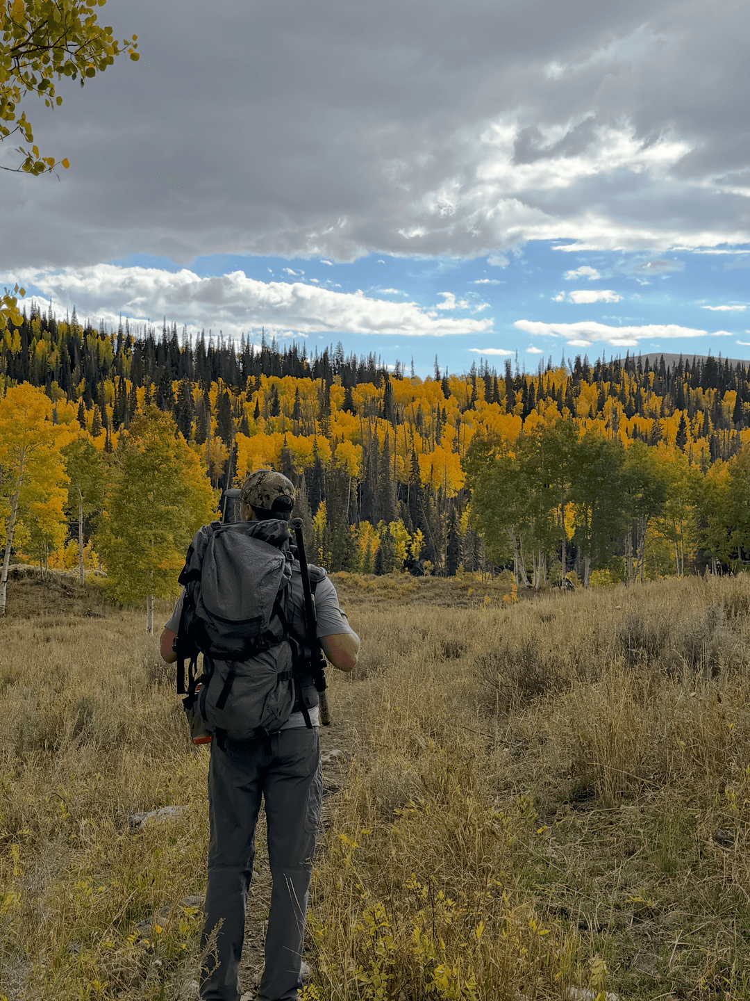 Tanner in the mountains